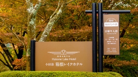 箱根 レイク ホテル レイク ホテル 箱根